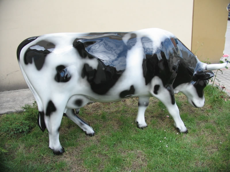 Cow